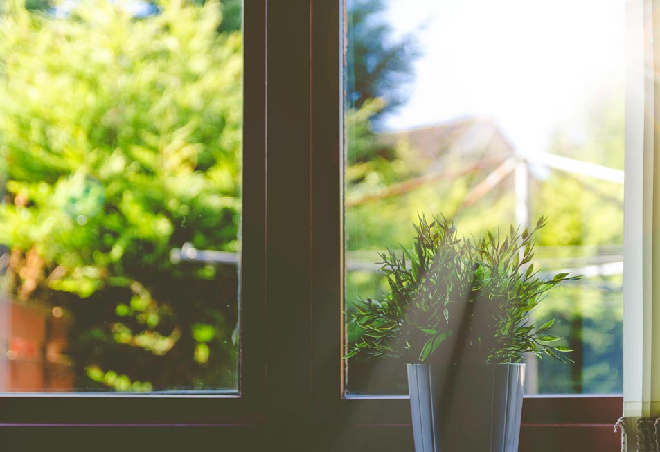 house window outlooking yard